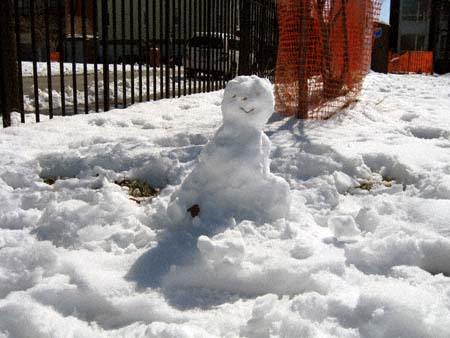 The Imbecile Test reviews — AppComments.com